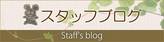 スタッフブログ