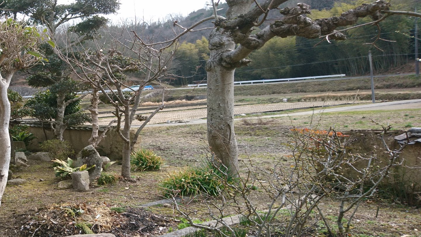 リフォーム前