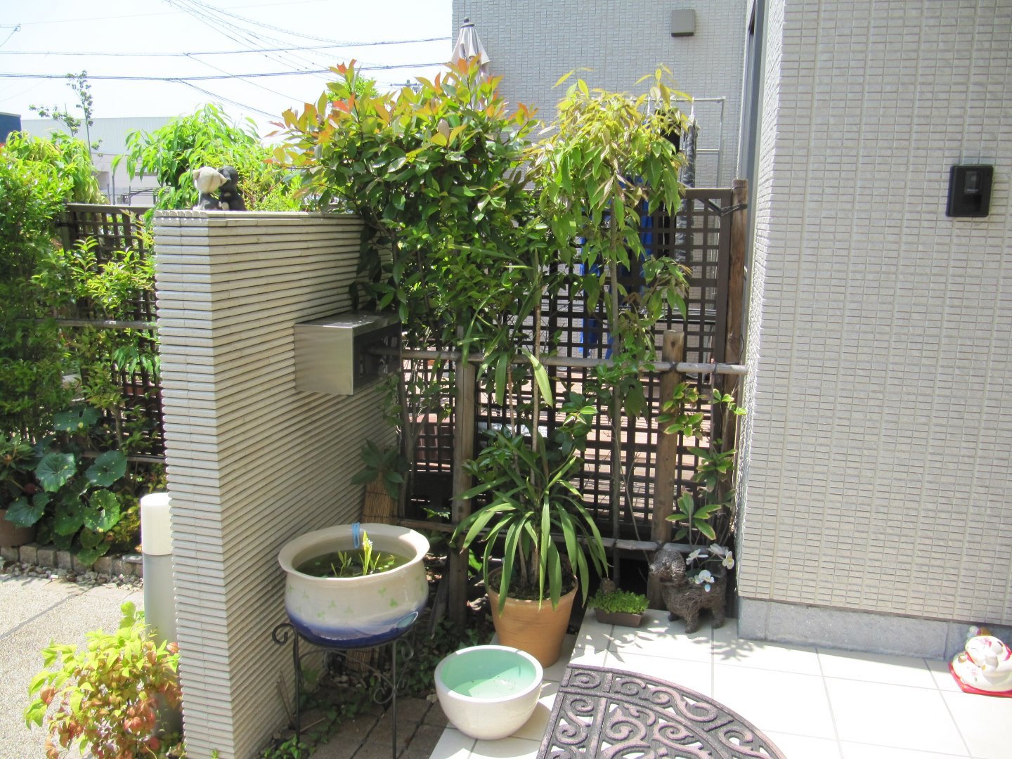 リフォーム前